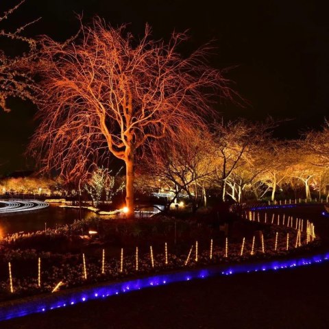 Projektor LED V-TAC 20W SMD E-series czarny VT-4021 Kolor Czerwony