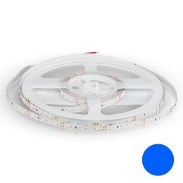Taśma LED V-TAC 12V SMD3528 300LED IP20 3,2W/m VT-3528 60-IP20 Kolor Niebieski