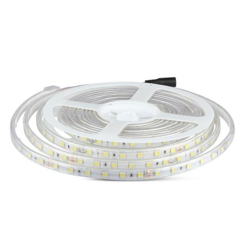 Taśma LED V-TAC SMD5050 300LED 24V IP65 rękaw 10W/m VT-5050 60-IP65 6400K 830lm