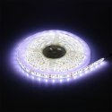 Taśma LED V-TAC 12V SMD5050 300LED IP65 rękaw 10W/m VT-5050 3000K 1000lm