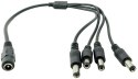 Przewód rozgałęźnik zasilania K04DC-10 1szt.