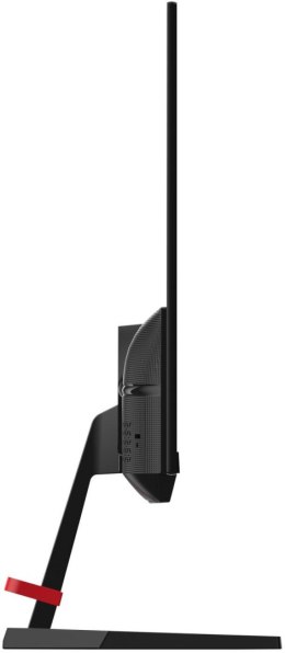 Monitor 24,5