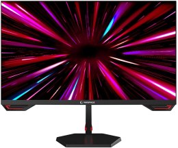 Monitor 24,5